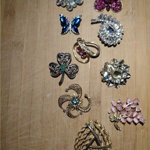 Elegant Assorted Brooch Set
